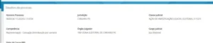 IMG-20241216-WA0204-768x156-1-300x61 Eleições 2024: ação na Justiça Eleitoral investiga possíveis ‘candidaturas laranjas’ no PDT em Caruaru