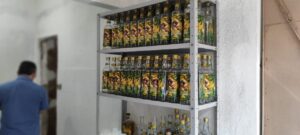 clandestina-300x135 INÍCIO