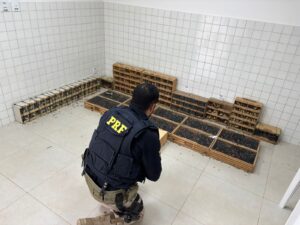 70e2fffe-6436-4dc1-bac8-069edbe9e0ef-300x225 INÍCIO