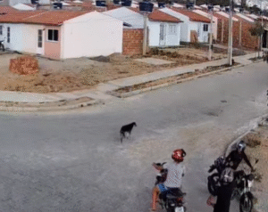 Captura-de-tela-2025-11-30-194526-300x238 INÍCIO