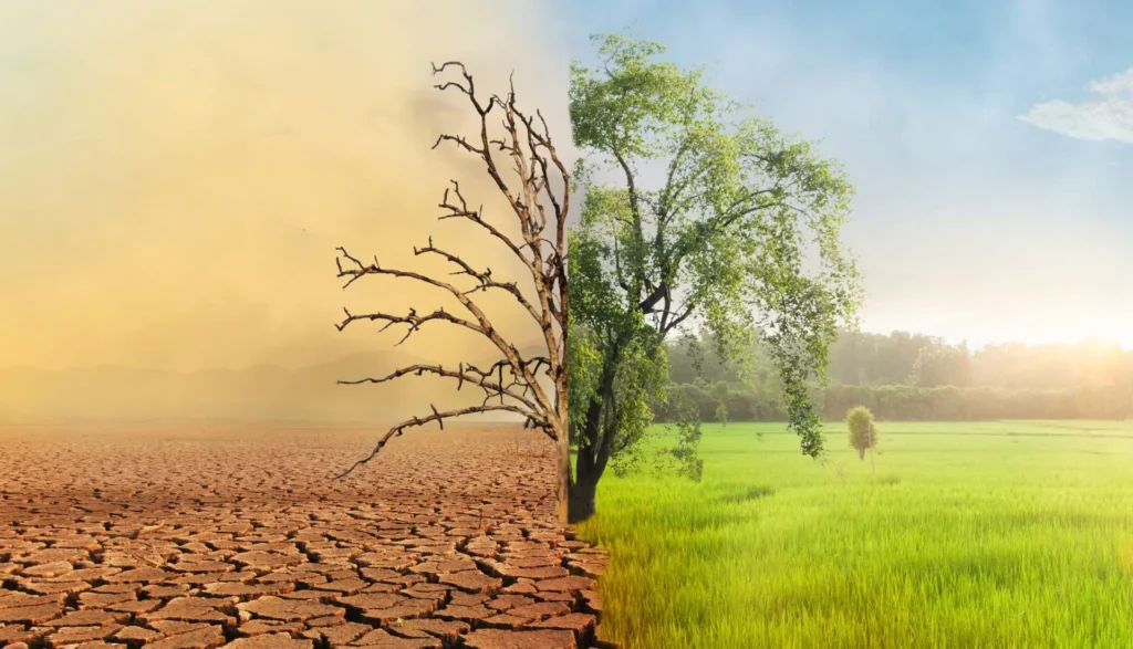 mgn_cop30-1024x587 CAPITAL JURÍDICO