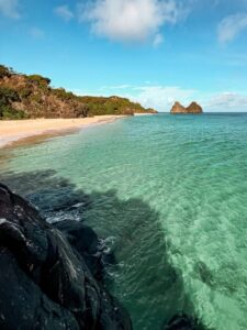 MATERIA-TPA-225x300 INÍCIO