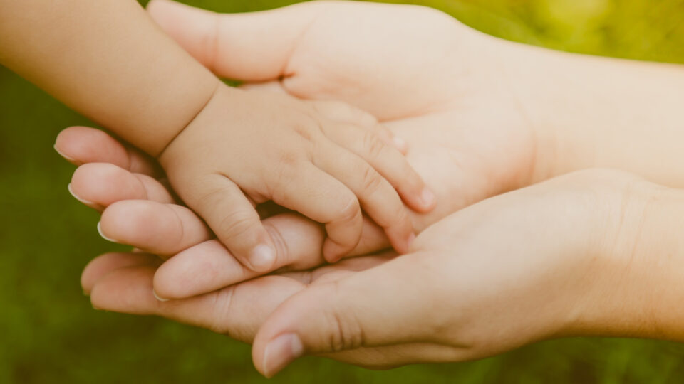 crianca-pensao-protecao-maternidade-960x540-1 COLUNA CAPITAL