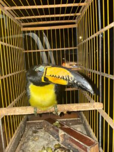 06809e14-28a4-438d-a6a7-6690244f8f19-225x300 INÍCIO