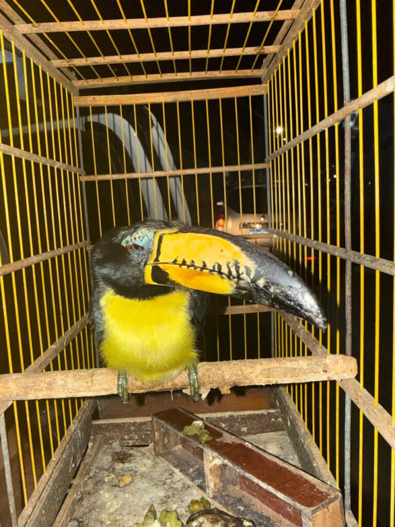 06809e14-28a4-438d-a6a7-6690244f8f19-768x1024 INÍCIO