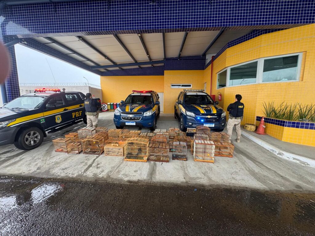 8620ad3c-7cdd-4aff-b351-d400bff7e6f6-1024x768 INÍCIO