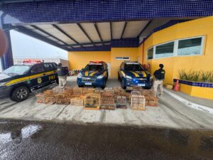 8620ad3c-7cdd-4aff-b351-d400bff7e6f6-300x225 INÍCIO