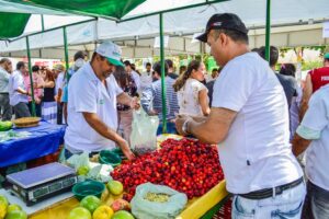 Foto-Arquivo-Secom-PMC-1-300x200 INÍCIO