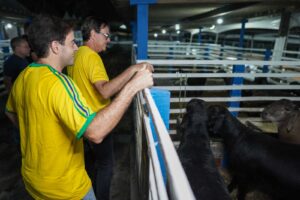 WhatsApp-Image-2026-04-25-at-09.06.06-300x200 INÍCIO