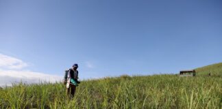 Governo de Pernambuco garante 18 mil toneladas de fertilizantes para fortalecer agricultura familiar canavieira da Zona da Mata