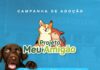Prefeitura de Caruaru realiza evento do projeto “Meu Amigão” para incentivar a adoção consciente de pets em Caruaru