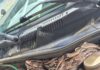 Jibóia é encontrada dentro de motor de caminhonete em Caruaru