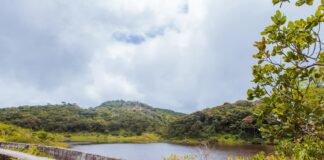 Parque Natural Municipal Professor João Vasconcelos Sobrinho celebra 43 anos como patrimônio ambiental de Caruaru
