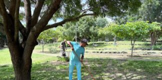 Prefeitura de Caruaru intensifica ações de manutenção e reforça compromisso com a preservação dos Parques Ecológicos
