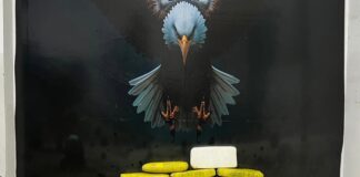 Polícia Civil desarticula esquema do tráfico e apreende mais de 52 kg de drogas em Pernambuco