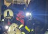 Cachorro é resgatado sem ferimentos após incêndio atingir residência em Caruaru
