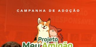 Marco Zero recebe ação da Prefeitura de Caruaru para adoção responsável de cães e gatos