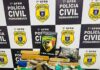 Esconderijo inusitado: Denarc encontra 120 kg de maconha dentro de cisterna desativada em Caruaru