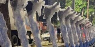 Silvio Nascimento solicita mais segurança e regulamentação para patinetes elétricos em Caruaru
