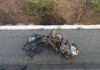 Motociclista morre em colisão frontal com caminhão na BR-428, no Sertão de Pernambuco