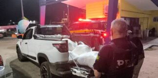 PRF apreende 31 Kg de maconha escondidos em saco de ração