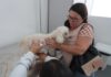 Hospital Veterinário Municipal de Caruaru já está em funcionamento com assistência ampliada para os animais